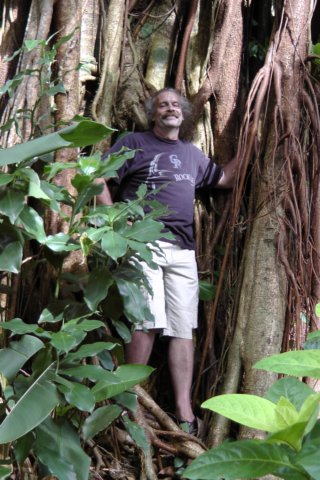 wildmaninthetrees.jpg