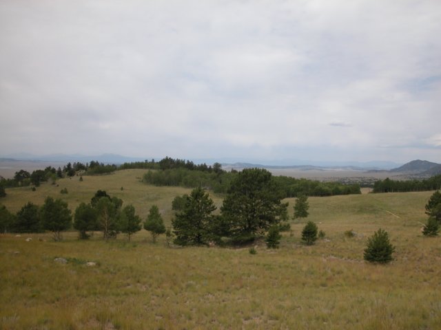 dscn0406.jpg