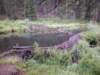 dscn0546_small.jpg