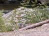 dscn0547_small.jpg