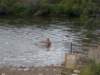 dscn0566_small.jpg